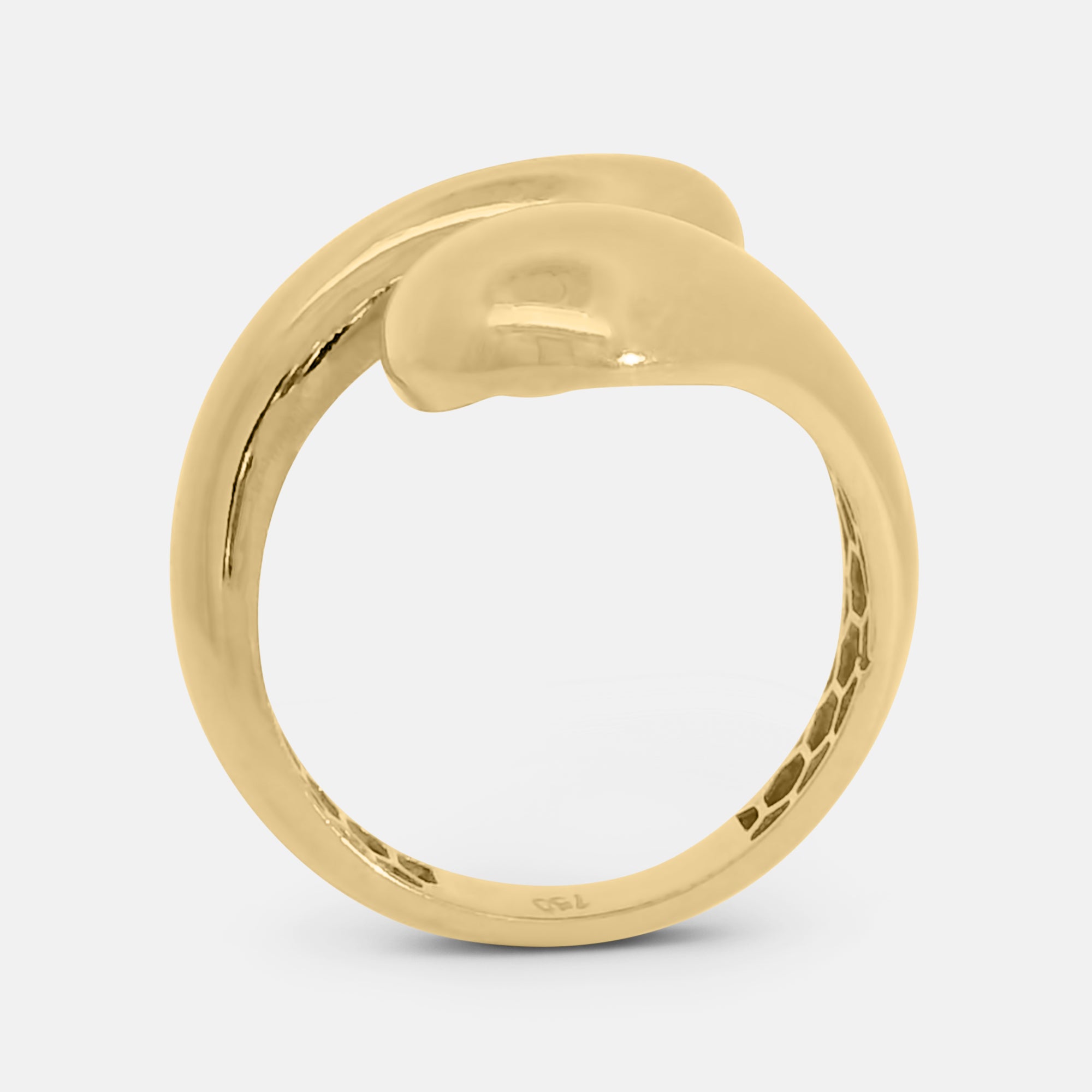 Chunky Huggy Ring