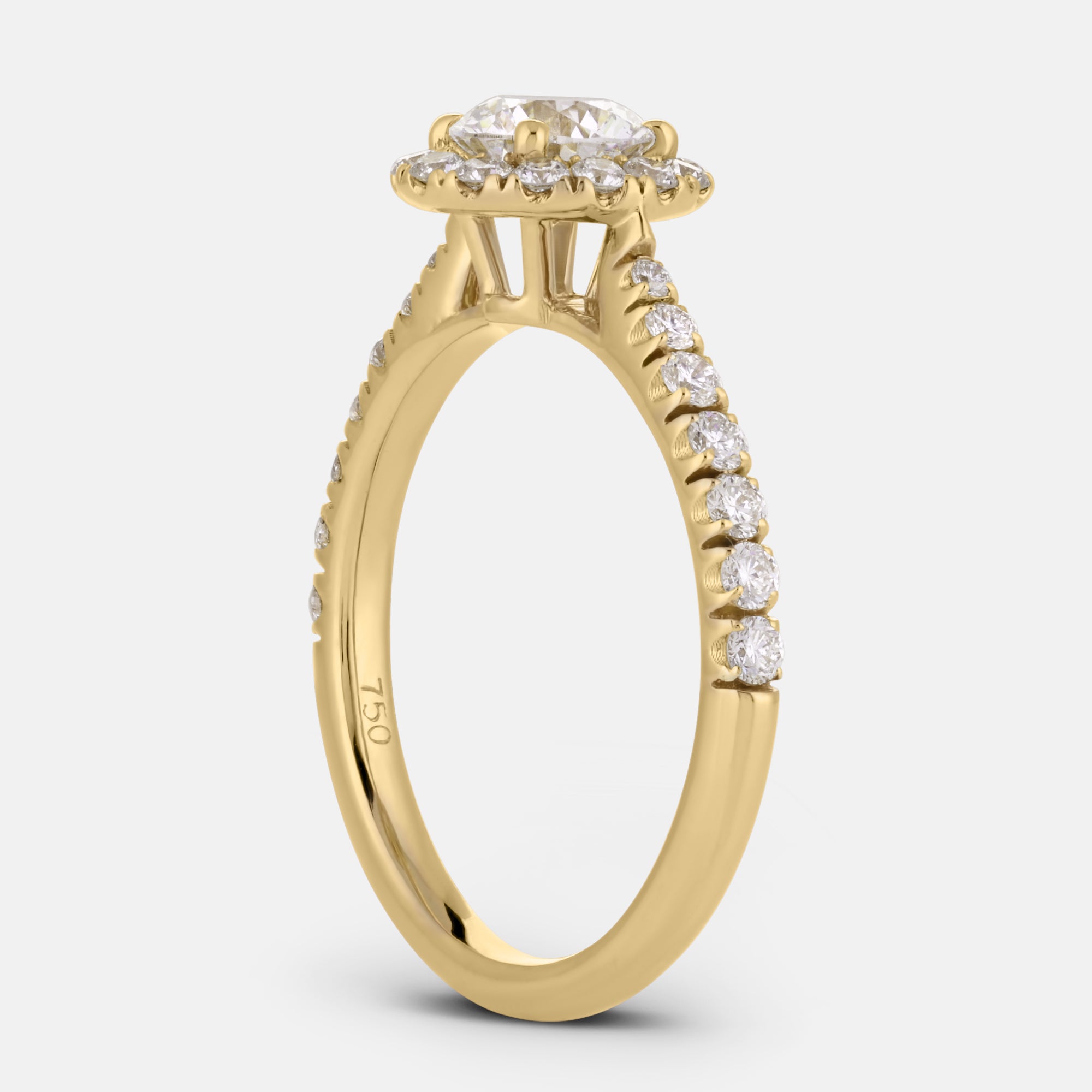 Elizabeth Round w/ Halo Engagement Ring